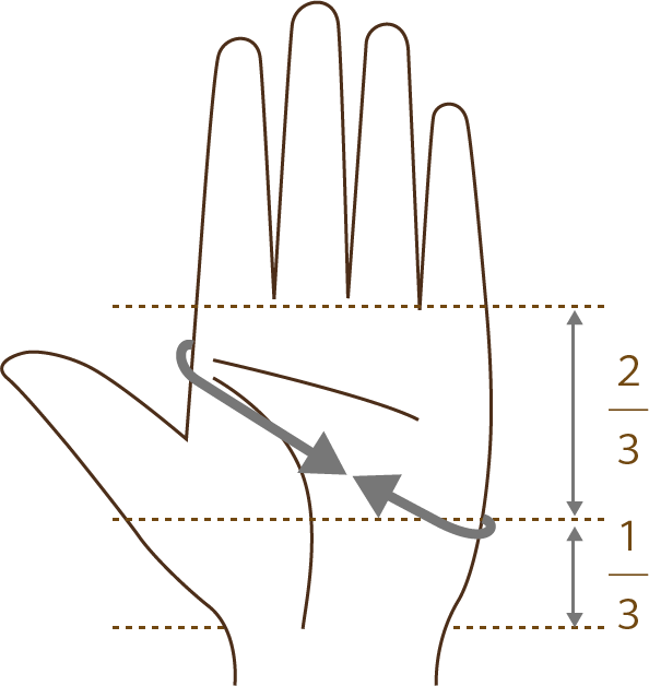手袋（手囲い寸法）