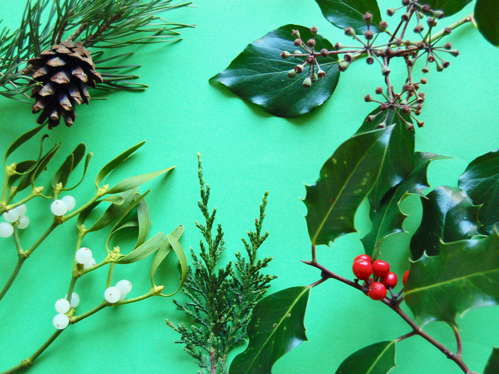 マジカルなイギリスのクリスマスを彩る植物とは