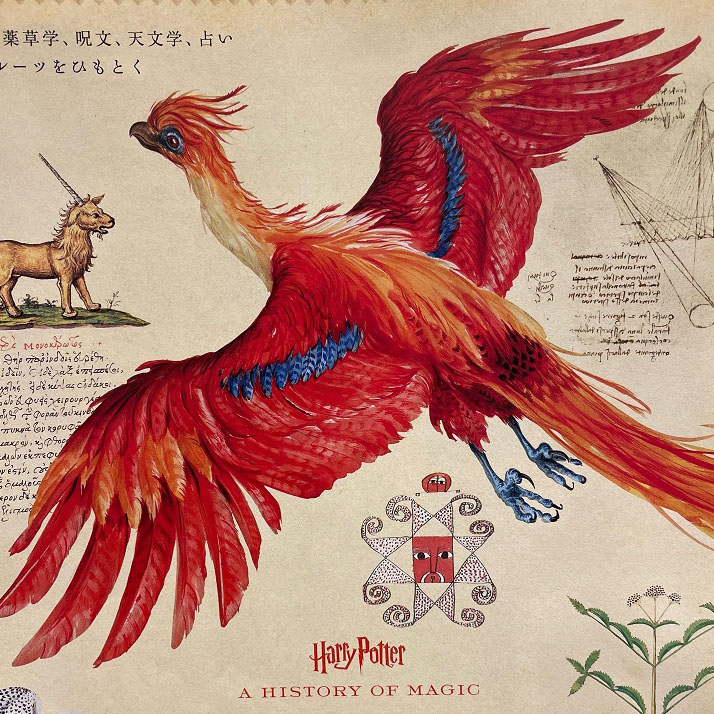 20周年に再び思い出すハリーポッターの世界 | 英国モノコト| BRITISH