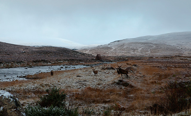 20171218_road_to_Harris_1