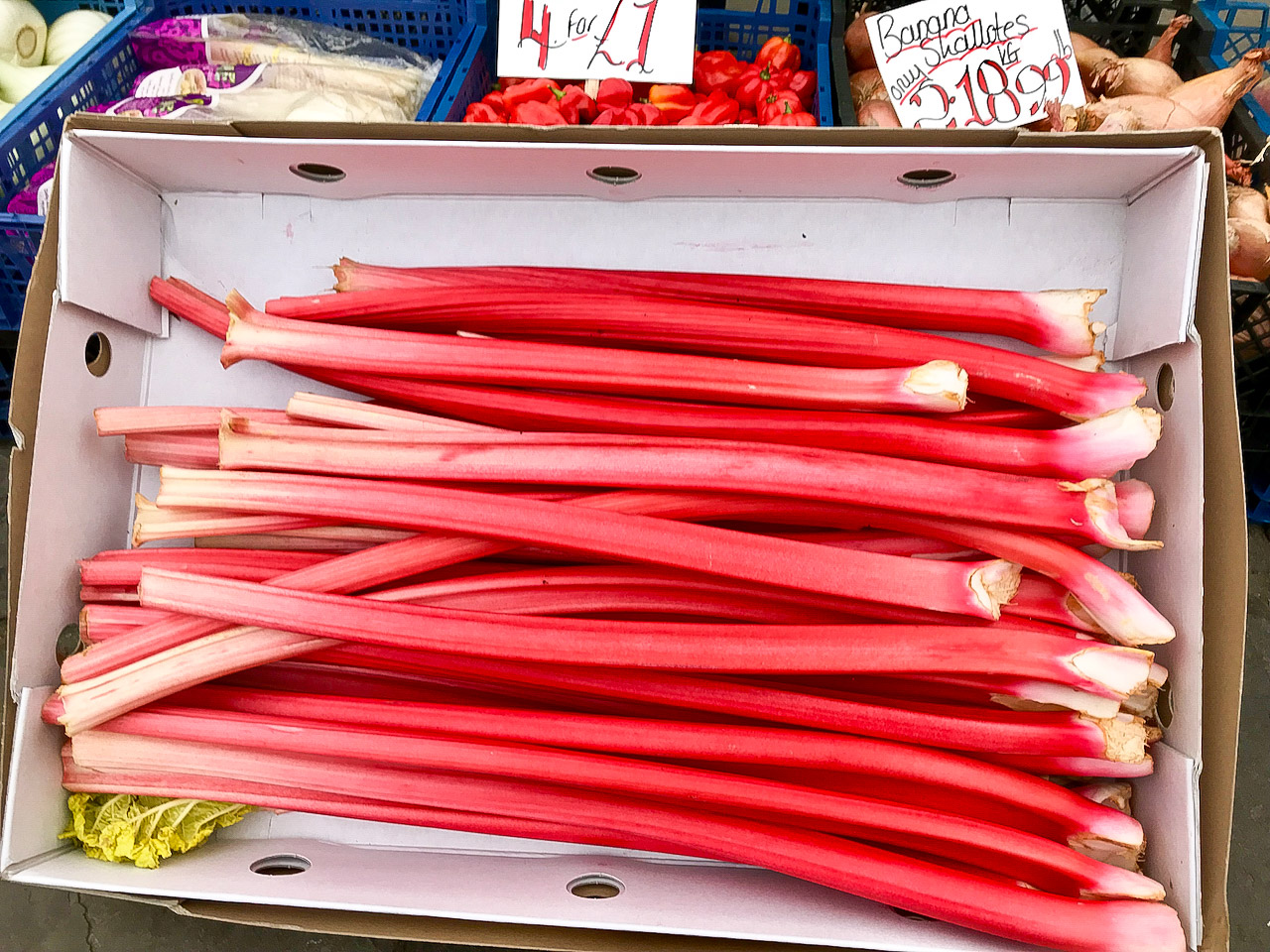 20180215_rhubarb1-