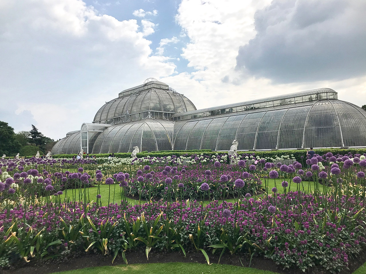 日本人キューディプロマ舘林正也さんによる 初めてのキュー植物園 半日満喫ガイド British Made