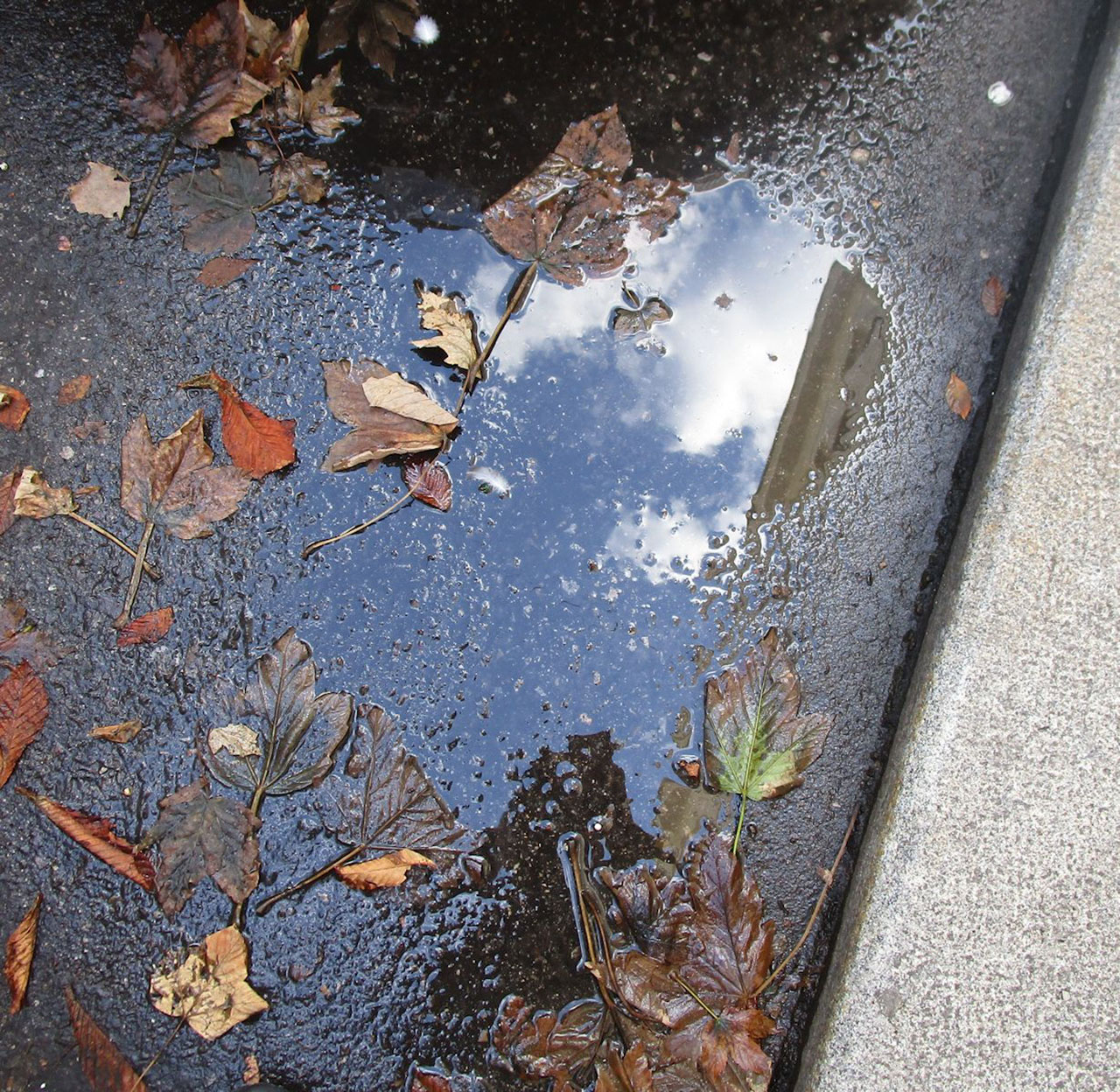 雨のロンドン