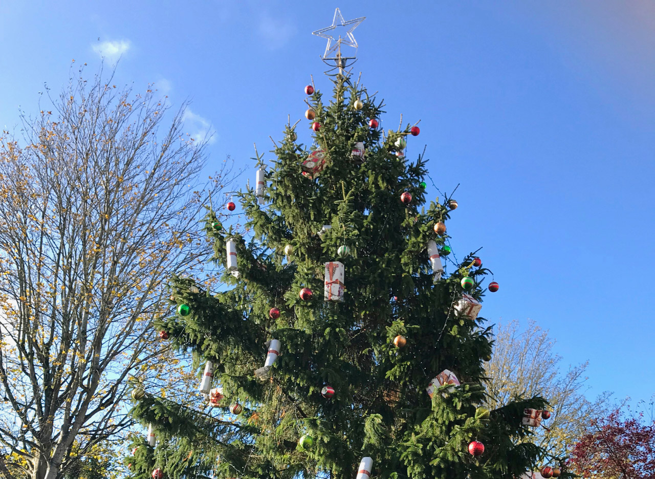 マジカルなイギリスのクリスマスを彩る植物とは British Made