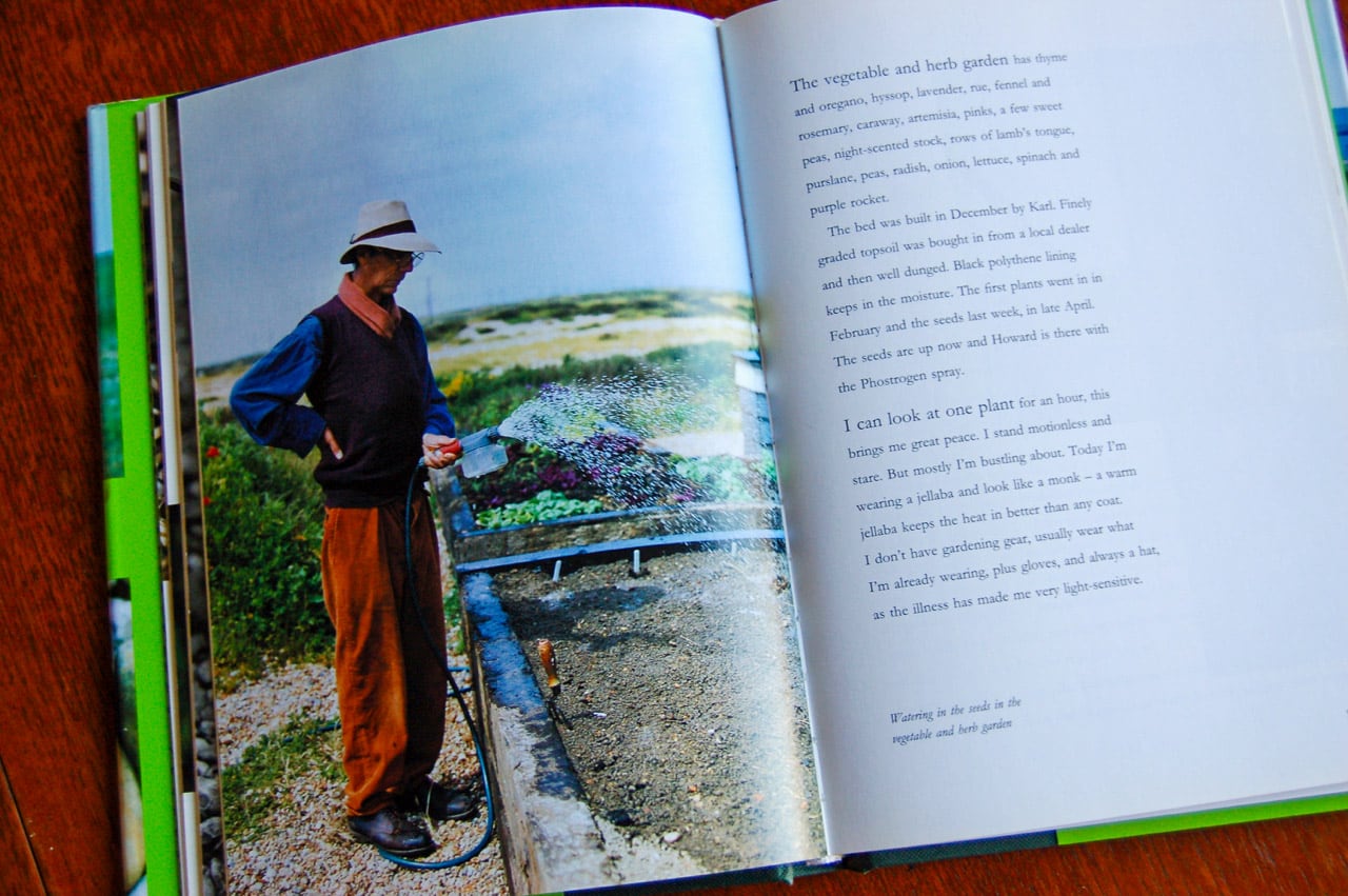 Derek Jarman’s garden with photographs