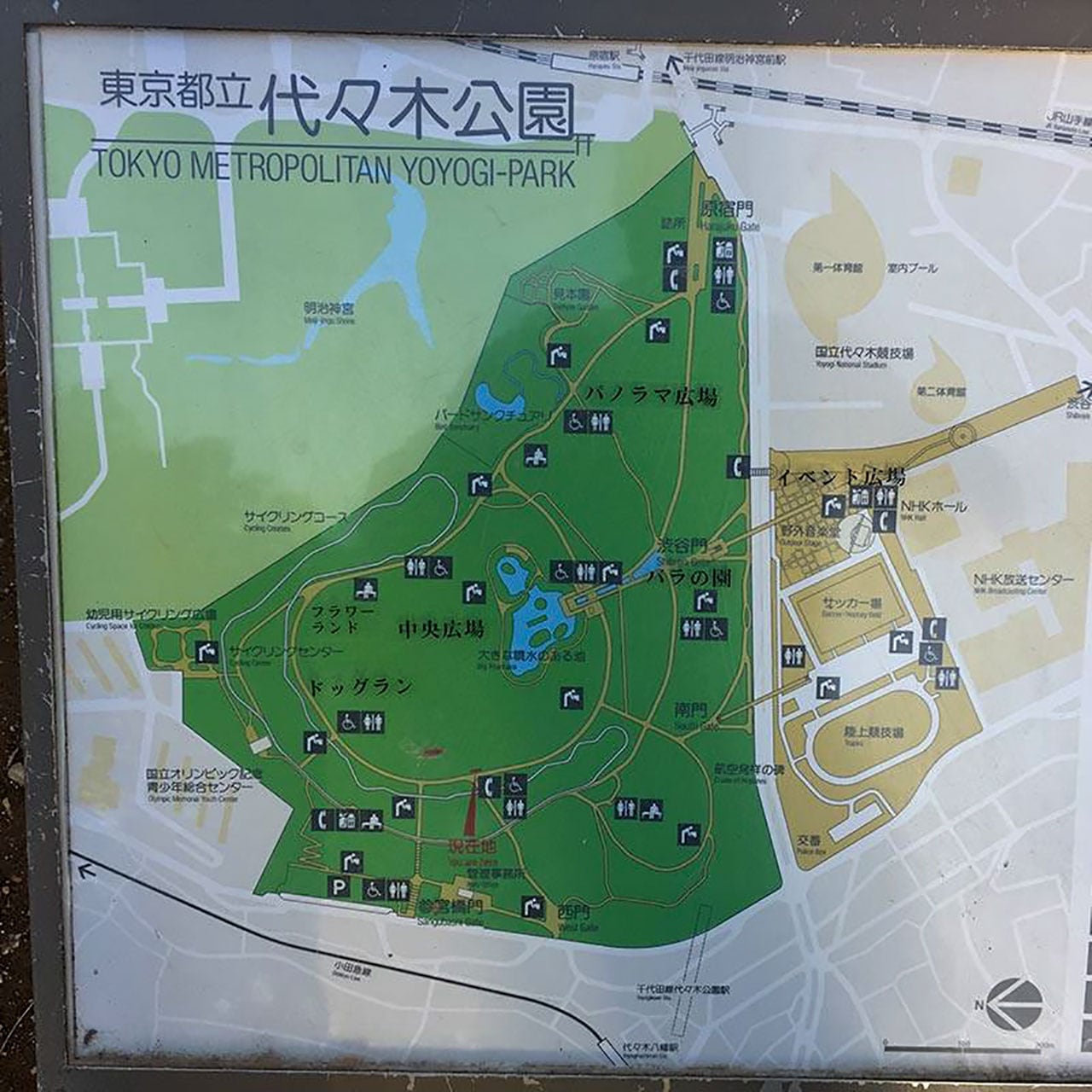 代々木公園