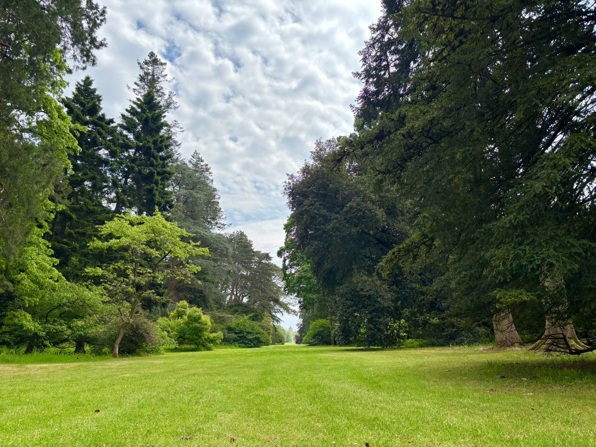マクギネス真美　バース　ジェーンオースティン　イギリス旅行　英国旅行