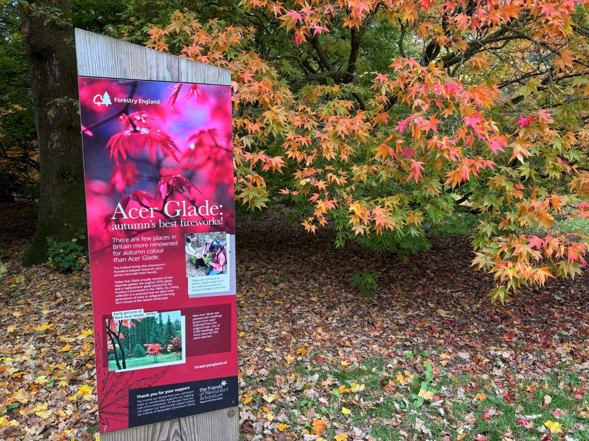 マクギネス真美　バース　ジェーンオースティン　イギリス旅行　英国旅行