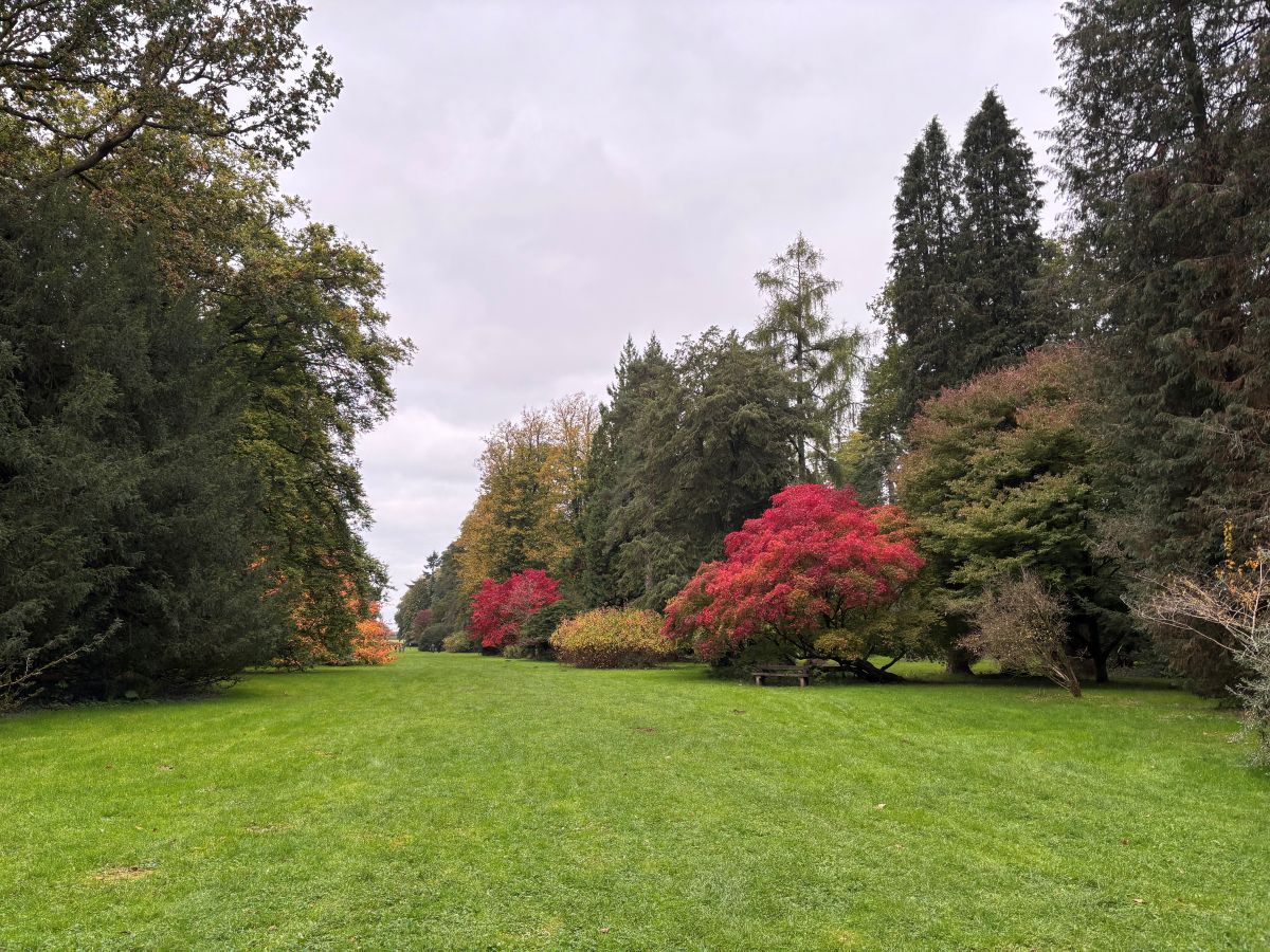 マクギネス真美　バース　ジェーンオースティン　イギリス旅行　英国旅行