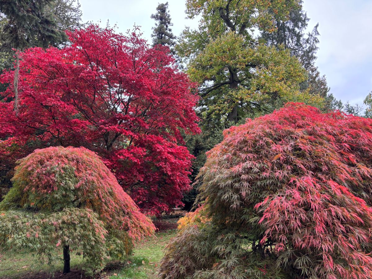 マクギネス真美　バース　ジェーンオースティン　イギリス旅行　英国旅行
