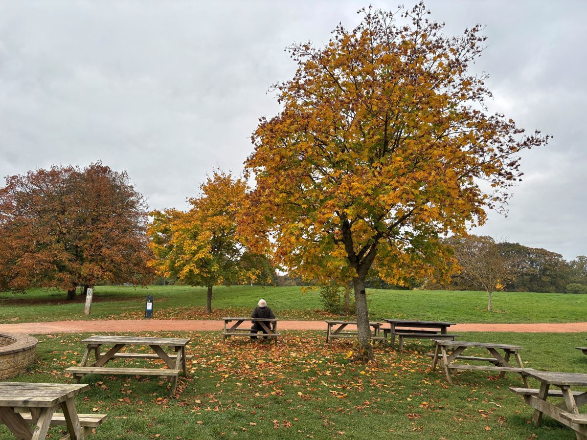 マクギネス真美　バース　ジェーンオースティン　イギリス旅行　英国旅行
