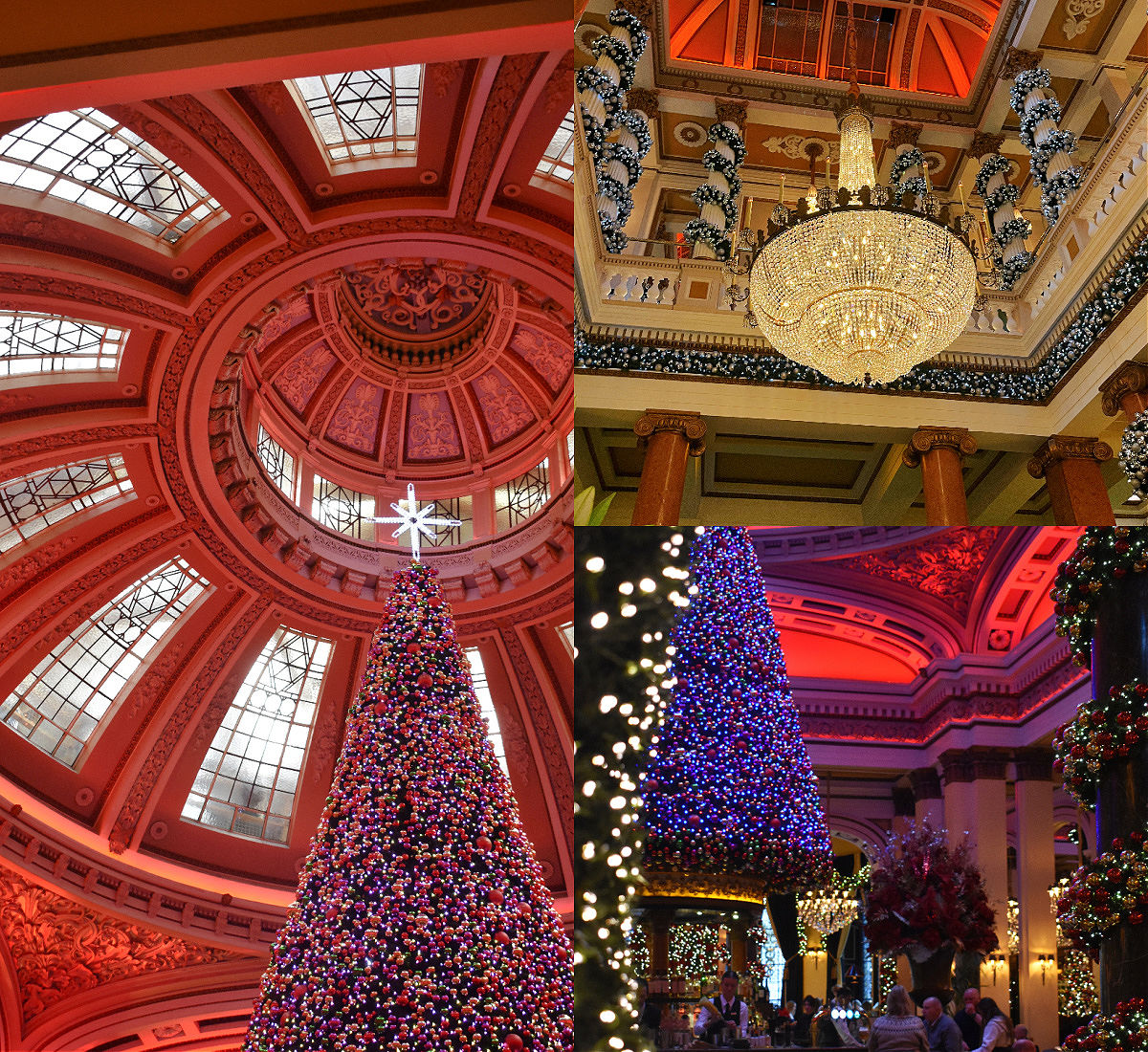 ロンドンお手頃外食特集