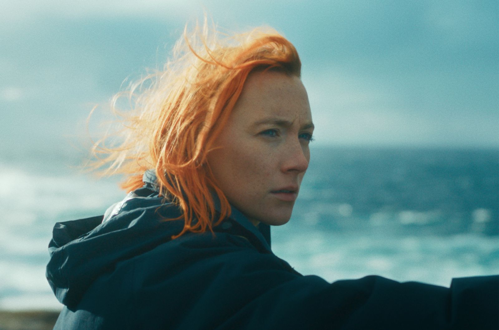 新しい年に選びたい、はじめてのグレンロイヤル。人気の財布モデル３つを比較解説