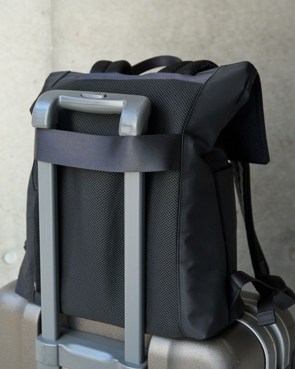 グレンロイヤル ブリティッシュメイ